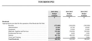 Brookvale Ski Park budget