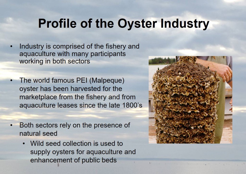 Profile of the Oyster Industry