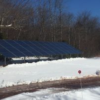 Trivers solar panels - 48 on ground - Trivers