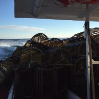 lobster traps - Joey Gauthier - landing day 2017 - Brad Trivers