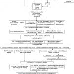 Lack of Unincorporated Voice in Municipal Restructuring – A Flow Chart